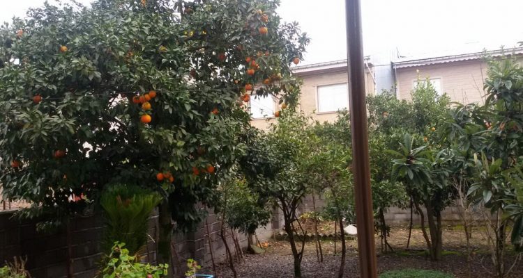 ویلا لاهیجان کد 129